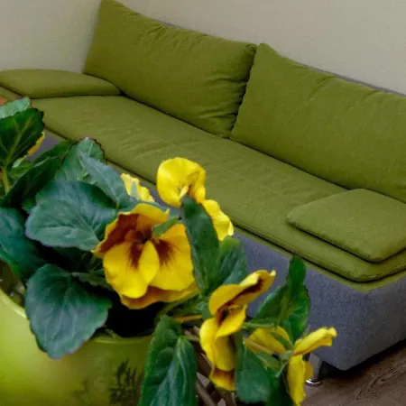 Apartment Ferienwohnung Sonnenschein *